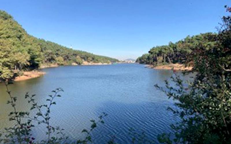 AYDOS ORMANI SPORTİF DOĞA YÜRÜYÜŞÜ