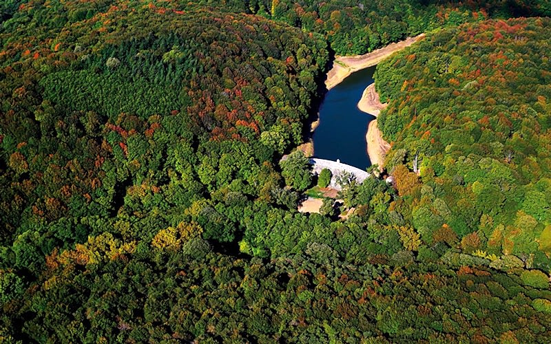 BELGRAD ORMANI 4 BEND DOĞA YÜRÜYÜŞÜ