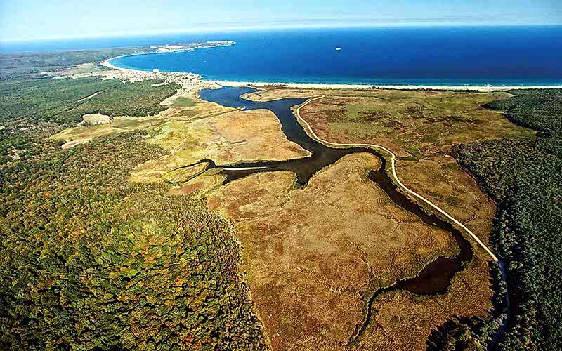 İĞNEADA LONGOZ ORMANLARI DOĞA YÜRÜYÜŞÜ